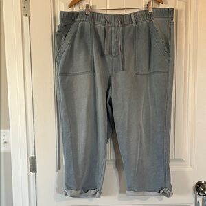 Lane Bryant Sweat Pants PJ Jesns Crop Size 22